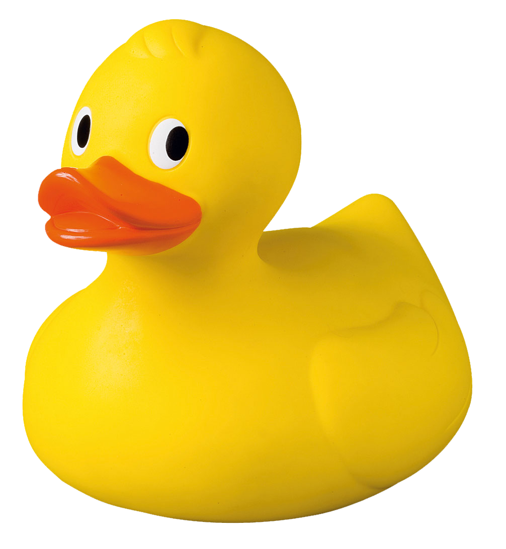 Image d'un canard en plastique